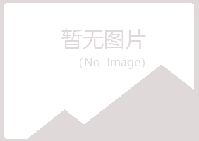 华阴夏岚会计有限公司